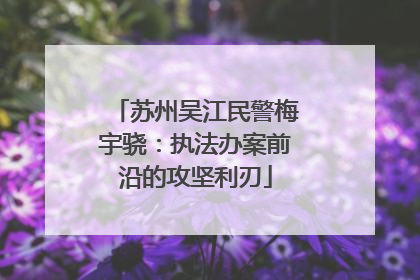 苏州吴江民警梅宇骁：执法办案前沿的攻坚利刃