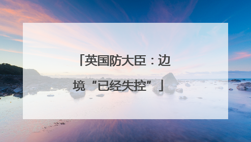 英国防大臣：边境“已经失控”