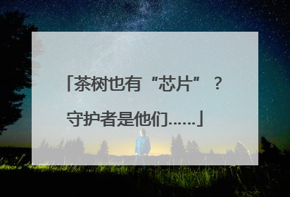 茶树也有“芯片”？守护者是他们……