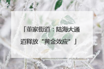 董家街道：陆海大通道释放“黄金效应”