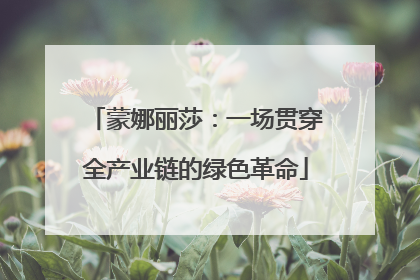蒙娜丽莎：一场贯穿全产业链的绿色革命