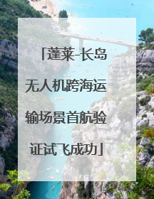 蓬莱-长岛无人机跨海运输场景首航验证试飞成功