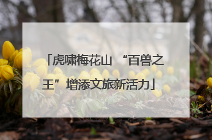 虎啸梅花山 “百兽之王”增添文旅新活力
