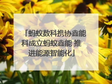 蚂蚁数科携协鑫能科成立蚂蚁鑫能 推进能源智能化