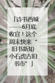 诗书西城——6月底收官！这个周末快来“旧书新知·小石虎古旧书市”