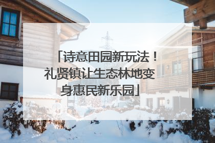 诗意田园新玩法！礼贤镇让生态林地变身惠民新乐园