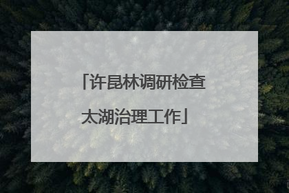 许昆林调研检查太湖治理工作