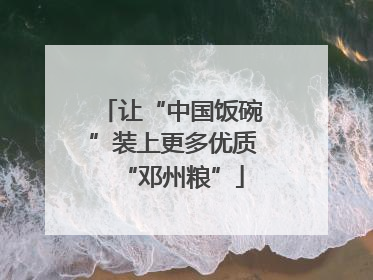 让“中国饭碗”装上更多优质“邓州粮”