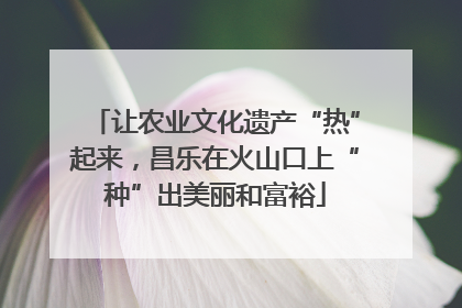 让农业文化遗产“热”起来，昌乐在火山口上“种”出美丽和富裕