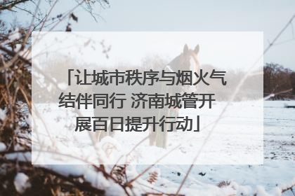 让城市秩序与烟火气结伴同行 济南城管开展百日提升行动