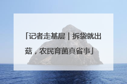 记者走基层｜拆袋就出菇，农民育菌真省事