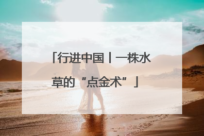 行进中国丨一株水草的“点金术”