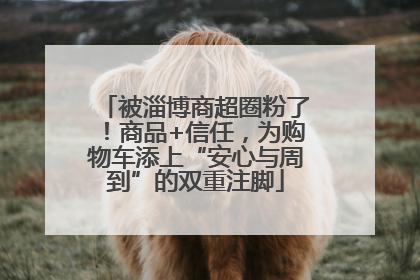 被淄博商超圈粉了！商品+信任，为购物车添上“安心与周到”的双重注脚