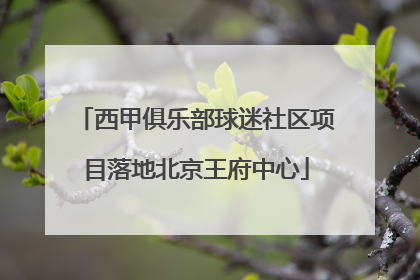 西甲俱乐部球迷社区项目落地北京王府中心