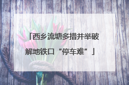 西乡流塘多措并举破解地铁口“停车难”