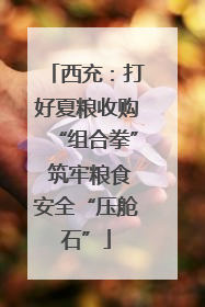 西充：打好夏粮收购“组合拳” 筑牢粮食安全“压舱石”