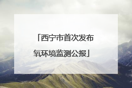 西宁市首次发布氧环境监测公报