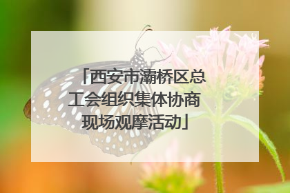 西安市灞桥区总工会组织集体协商现场观摩活动