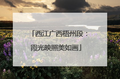 西江广西梧州段：霞光映照美如画