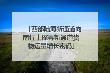 西部陆海新通道向南行丨探寻新通道货物运量增长密码