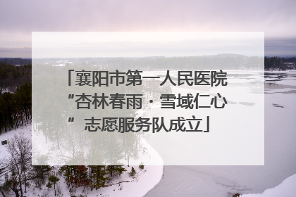 襄阳市第一人民医院“杏林春雨・雪域仁心”志愿服务队成立
