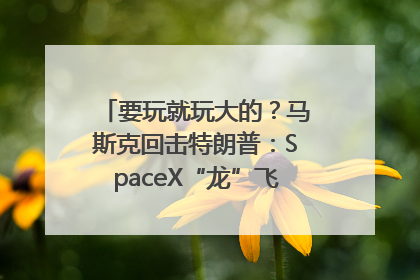 要玩就玩大的？马斯克回击特朗普：SpaceX“龙”飞船将立即退役！