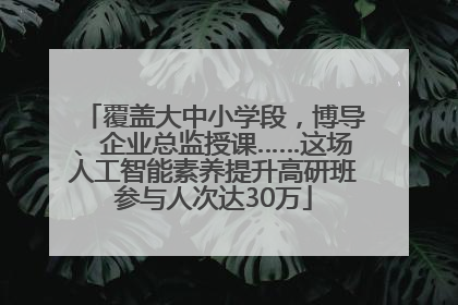 覆盖大中小学段，博导、企业总监授课……这场人工智能素养提升高研班参与人次达30万