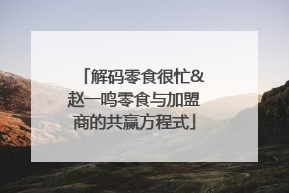 解码零食很忙&赵一鸣零食与加盟商的共赢方程式