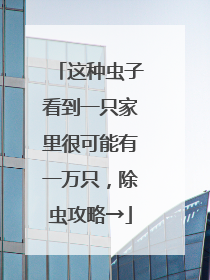 这种虫子看到一只家里很可能有一万只，除虫攻略→