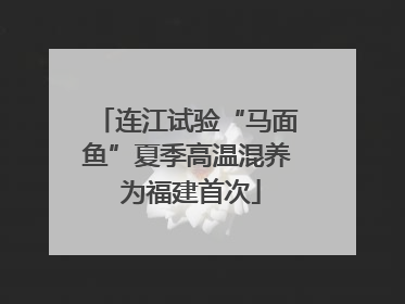 连江试验“马面鱼”夏季高温混养 为福建首次