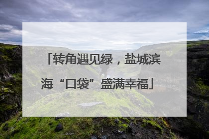转角遇见绿，盐城滨海“口袋”盛满幸福