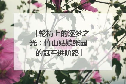 轮椅上的逐梦之光：竹山姑娘张园的冠军进阶路