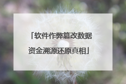 软件作弊篡改数据 资金溯源还原真相