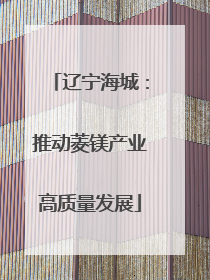 辽宁海城：推动菱镁产业高质量发展