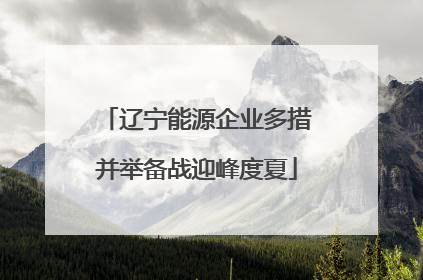 辽宁能源企业多措并举备战迎峰度夏