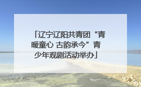 辽宁辽阳共青团“青暖童心 古韵承今”青少年观剧活动举办