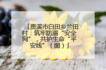 贵溪市白田乡兰田村：筑牢防溺“安全网”，共护生命“平安线”（图）