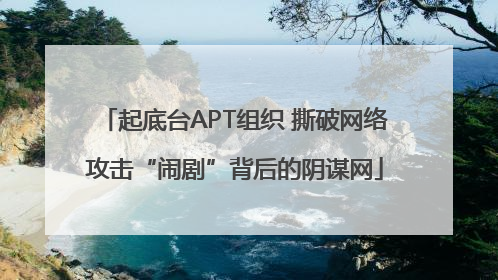 起底台APT组织 撕破网络攻击“闹剧”背后的阴谋网