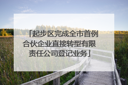 起步区完成全市首例合伙企业直接转型有限责任公司登记业务