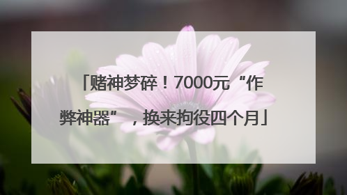 赌神梦碎！7000元“作弊神器”，换来拘役四个月