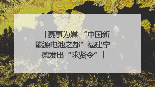 赛事为媒 “中国新能源电池之都”福建宁德发出“求贤令”