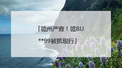 赣州严查！赣BU**99被抓现行
