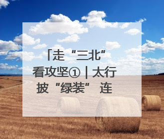 走“三北” 看攻坚①｜太行披“绿装” 连翘药茶香