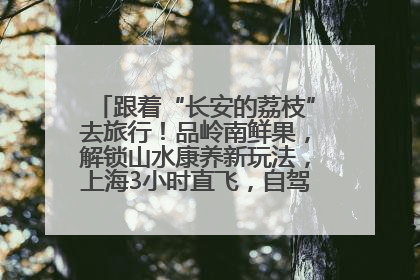 跟着“长安的荔枝”去旅行！品岭南鲜果，解锁山水康养新玩法，上海3小时直飞，自驾高速费优惠