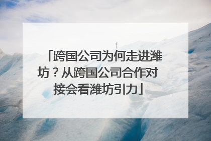 跨国公司为何走进潍坊？从跨国公司合作对接会看潍坊引力