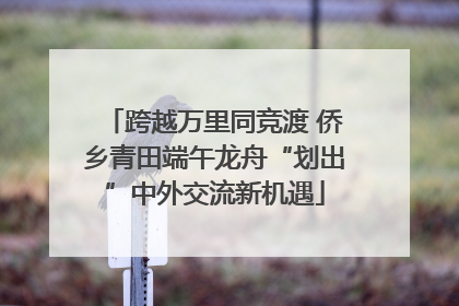 跨越万里同竞渡 侨乡青田端午龙舟“划出”中外交流新机遇