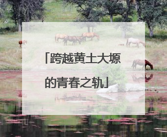 跨越黄土大塬的青春之轨