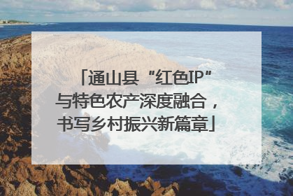 通山县“红色IP”与特色农产深度融合，书写乡村振兴新篇章