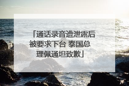 通话录音遭泄露后被要求下台 泰国总理佩通坦致歉
