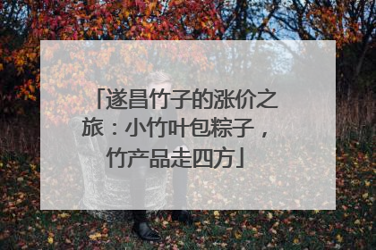 遂昌竹子的涨价之旅：小竹叶包粽子，竹产品走四方